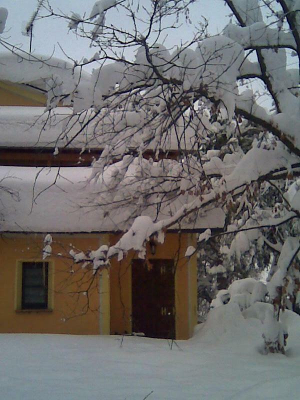 Le Spighe Agriturismo Cesena Dış mekan fotoğraf