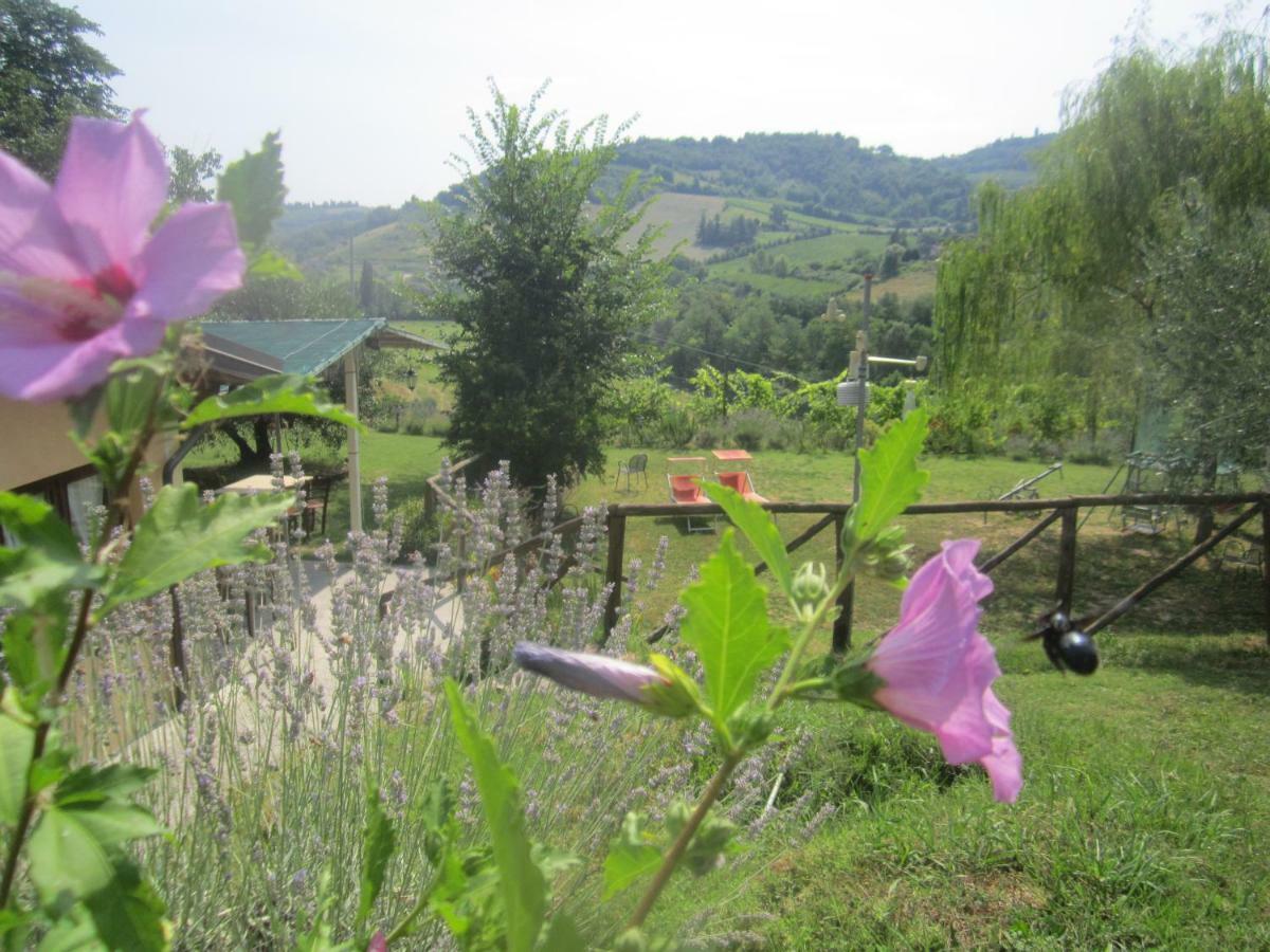 Le Spighe Agriturismo Cesena Dış mekan fotoğraf