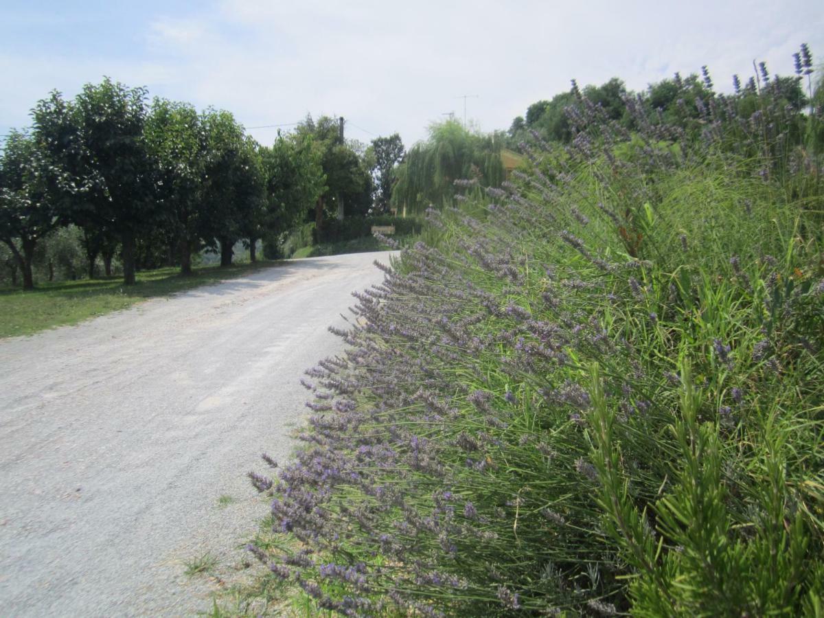 Le Spighe Agriturismo Cesena Dış mekan fotoğraf