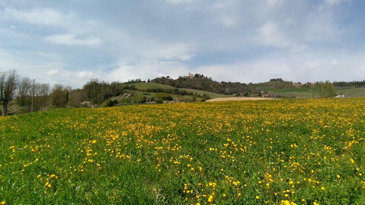 Le Spighe Agriturismo Cesena Dış mekan fotoğraf
