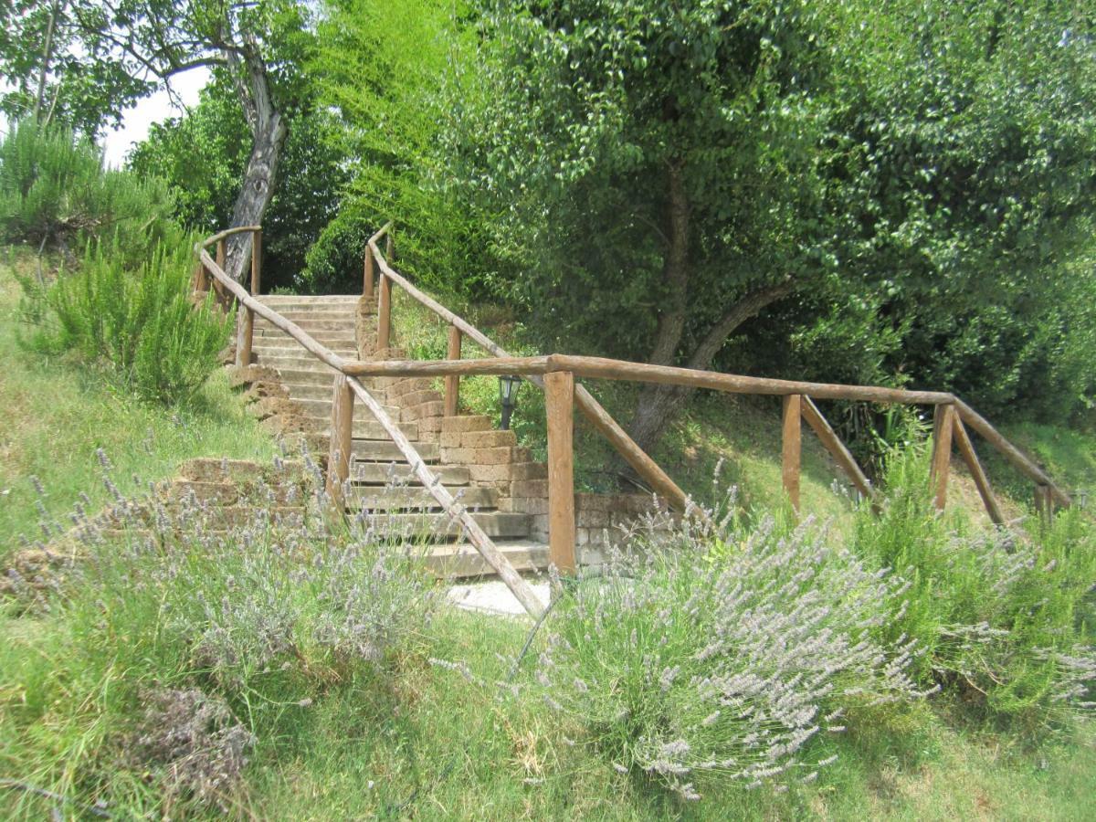 Le Spighe Agriturismo Cesena Dış mekan fotoğraf