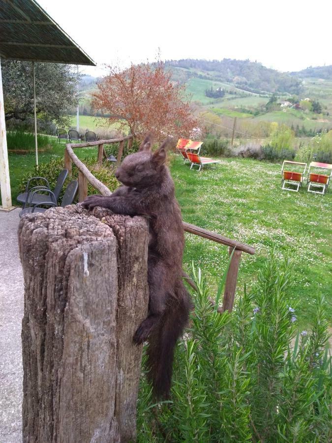 Le Spighe Agriturismo Cesena Dış mekan fotoğraf